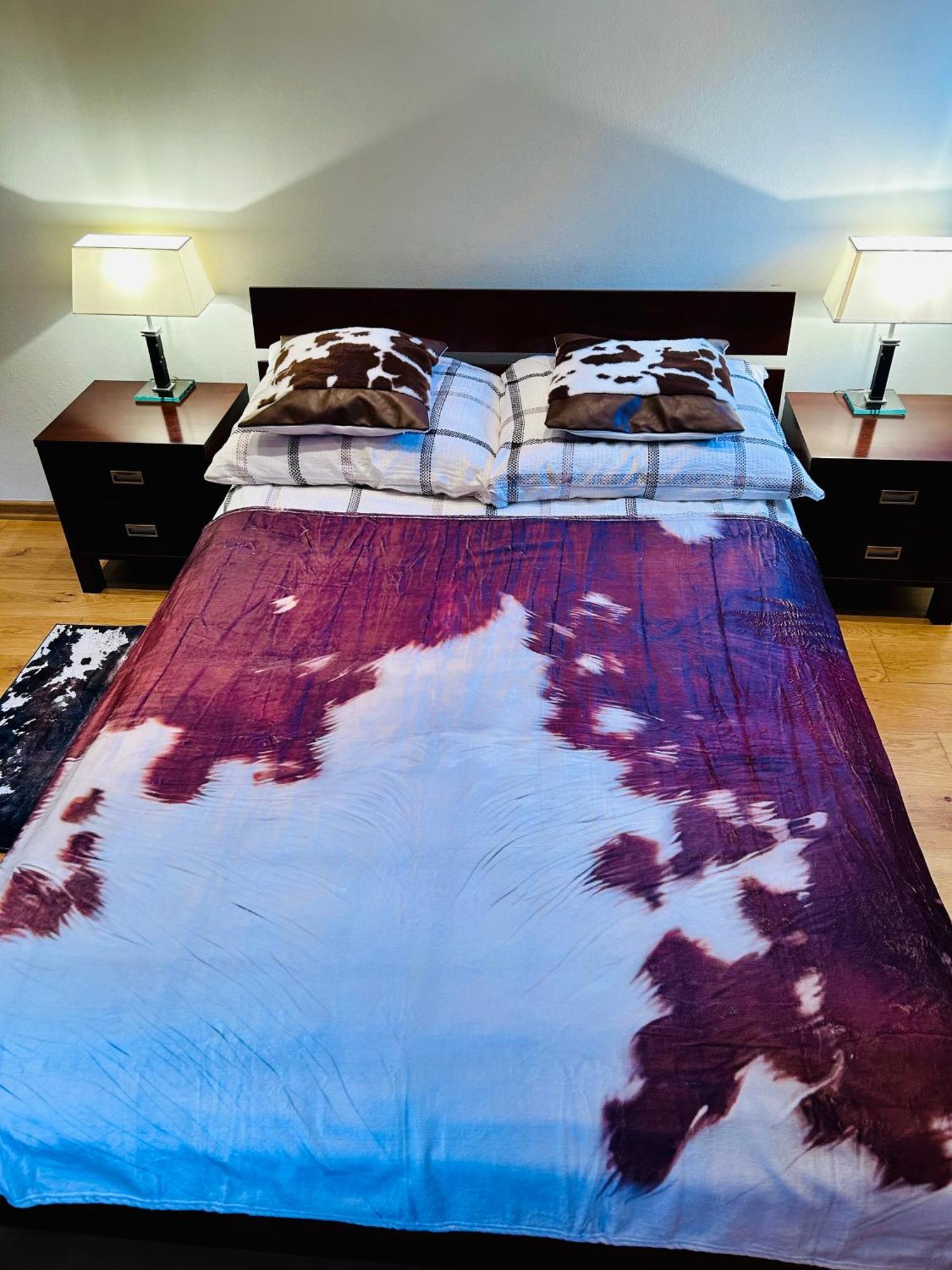 Apartament Josefina 波兰尼卡-兹德鲁伊 外观 照片